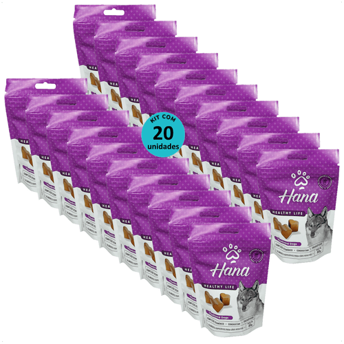 SNACK HANA HEALTHY LIFE VITAGUARD DOGS PARA CÃES ADULTOS 80G KIT COM 20