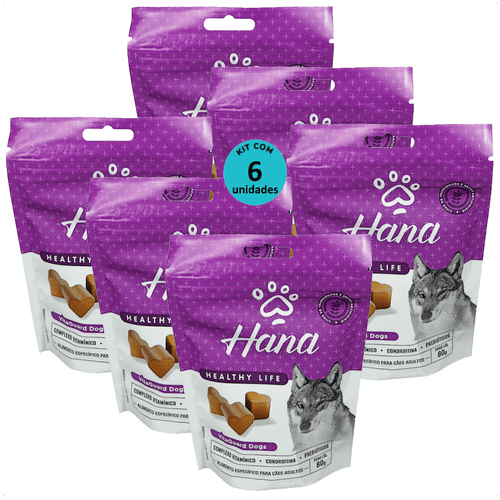 SNACK HANA HEALTHY LIFE VITAGUARD DOGS PARA CÃES ADULTOS 80G KIT COM 6