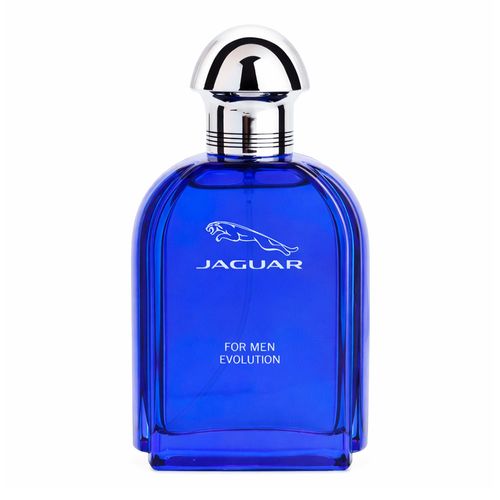 Jaguar for Men Evolution Eau de Toilette - Perfume Masculino 100ml 100ml