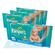 TOALHINHAS-PAMPERS-REGULAR-C-64-LEVE-4-PAGUE-3 TOALHINHAS-PAMPERS-REGULAR-C-64-LEVE-4-PAGUE-3