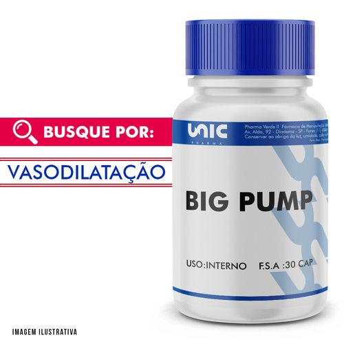 Big Pump - Composto Auxiliar Vasodilatador 30 Doses