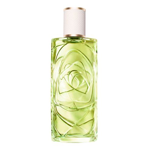 Lancôme Ôff Now Eau de Toilette - Perfume Feminino 100ml 100ml Lancôme Ôff Now Eau de Toilette - Perfume Feminino 100ml 100ml