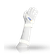 talapunho