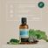 318728---bryophyllum-weleda-50ml-2