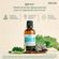 318728---bryophyllum-weleda-50ml-4