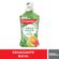 Enxaguante-Bucal-Colgate-Natural-Extracts-Citrus-500ml---722278-2
