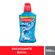 174980---Enxaguante-Bucal-Colgate-Plax-Ice-500ml-2