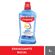 Enxaguante-Bucal-Colgate-Total-12-Clean-Mint-1000ml---664138-2