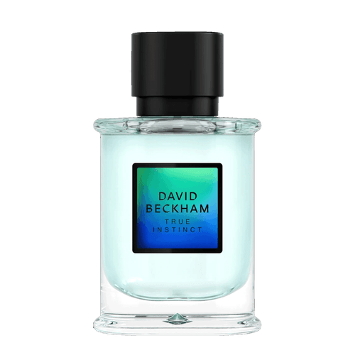 David Beckham True Instinct Eau de Parfum - Perfume Masculino 50ml 50ml 50ml