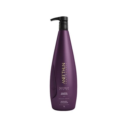 Shampoo Aneethun No Frizz Defrizante 1 Litro