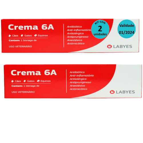 Kit Pomada Crema 6A 15g Labyes - com 2 unidades