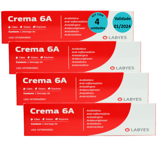 Kit Pomada Crema 6A 15g Labyes - com 4 unidades