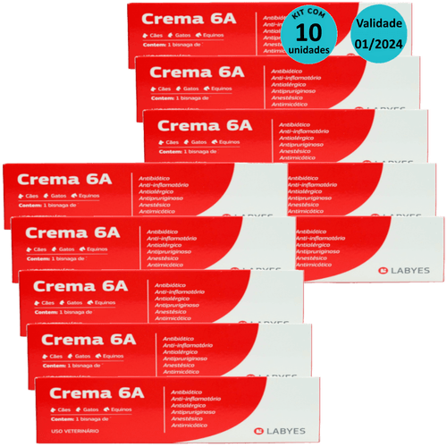 Kit Pomada Crema 6A 15g Labyes - com 10 unidades