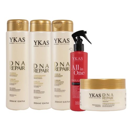 Kit Ykas Dna Repair Completo Pequeno + Hair All in One