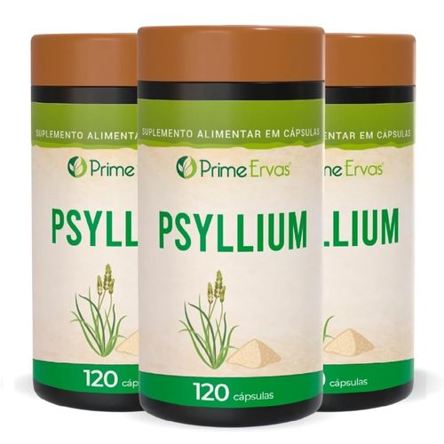 KIT 3 PSYLLIUM 500MG 120CPS PRIME ERVAS