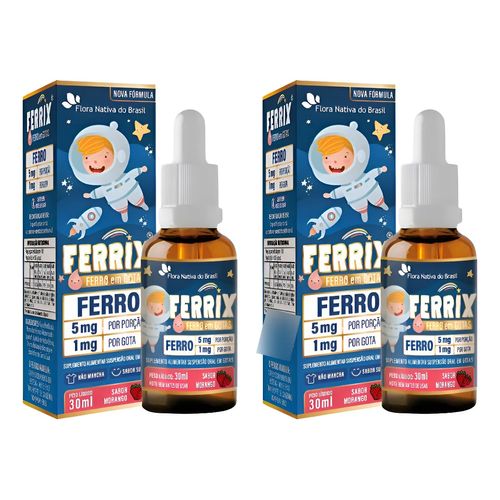 Kit 2x Ferrix Ferro Infantil 30ml Flora Nativa Sabor Morango Kit 2x Ferrix Ferro Infantil 30ml Flora Nativa Sabor:morango