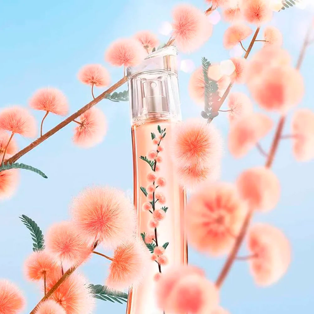 MF 100ml EDP ＠コスメ購入 Perfume Kenzo Flower by Kenzo Ikebana Mimosa Feminino - Eau de