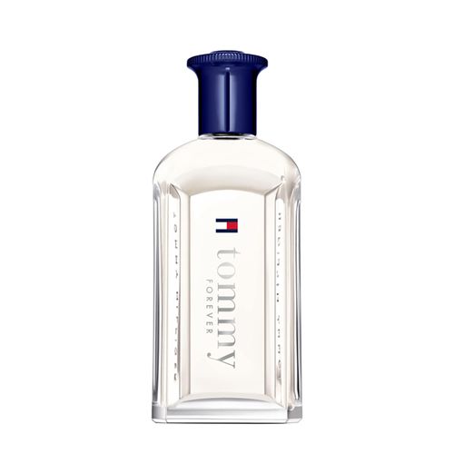 Perfume Tommy Hilfiger Forever Masculino - Eau de Toilette 100ml 100ml