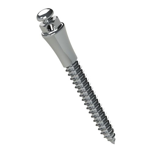 Miniparafuso Extrarradicular de Aço Transm: 4mm Ø2mm Morelli 12mm