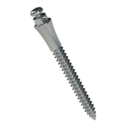 Miniparafuso Extrarradicular de Aço Transm: 4mm Ø2mm Morelli 14mm