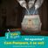 902381---Fralda-Pampers-Pants-Roupinha-M-30-Unidades-6