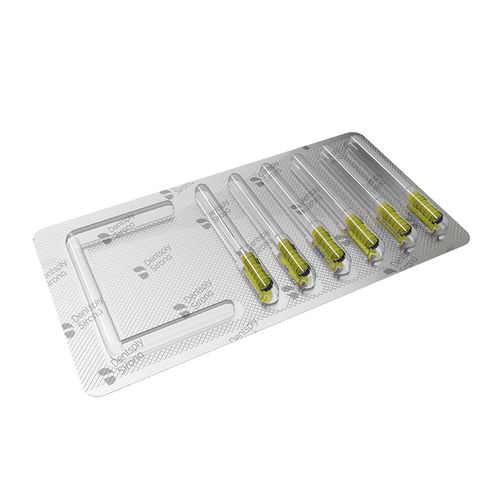 Lima Endodôntica Hedstroem File 31mm ReadySteel Dentsply 20