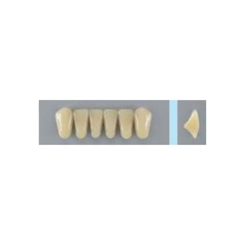Dente 3D/62 Inf - Pop