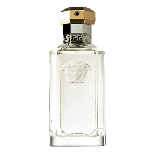 Versace The Dreamer Eau de Toilette - Perfume Masculino 100ml 100ml 100ml