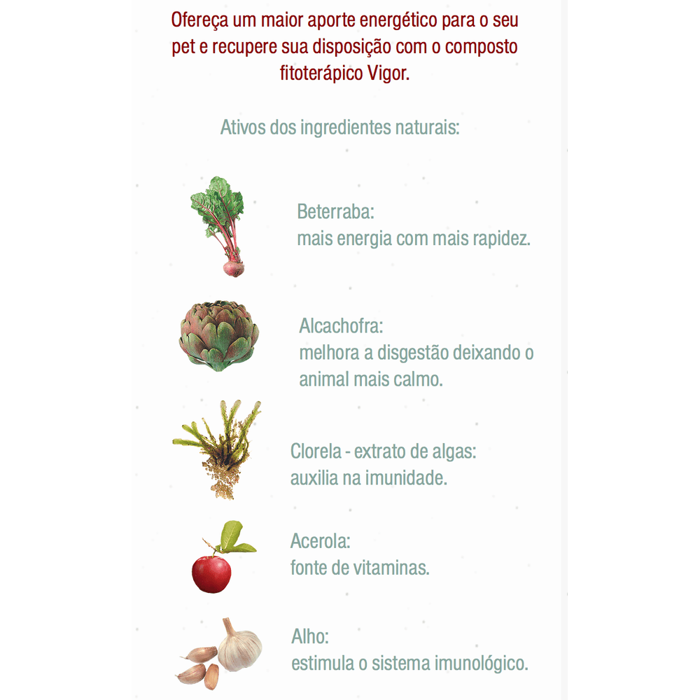 Suplemento Natural Vigor Botica Animal 45 Comprimidos - Drogarias Pacheco