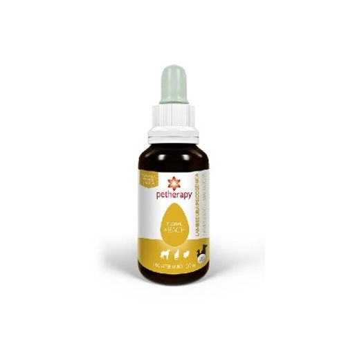 image-ca43f860057444228ac5bec6481a56a0 image-ca43f860057444228ac5bec6481a56a0