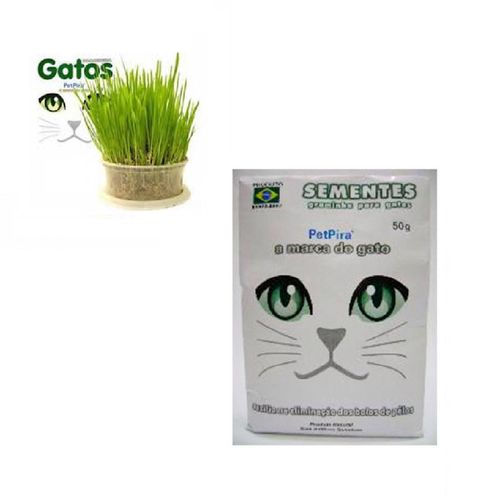 image-8b0ec80424454dd2b4dc0e6e0ff18669 image-8b0ec80424454dd2b4dc0e6e0ff18669