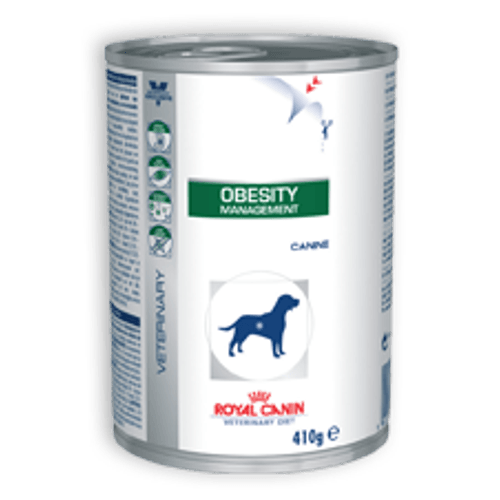 image-dab47a909b4441fcbbcbcc096f82491a image-dab47a909b4441fcbbcbcc096f82491a