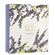 image-ab46cc1d01ae4059bb32050cc290c5db