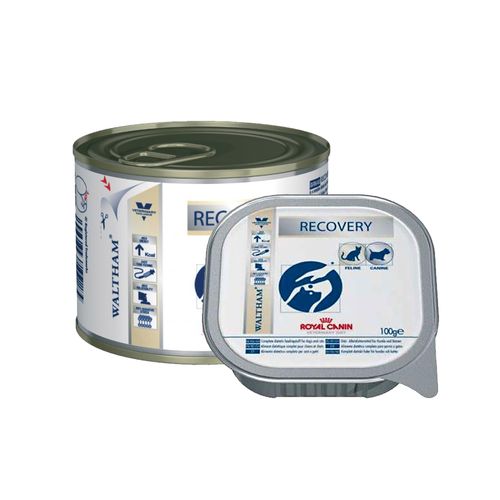 image-70a32845fa0f49728d99880d58c61241 image-70a32845fa0f49728d99880d58c61241