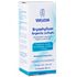 bryophyllum-weleda-50ml-Pacheco-318728