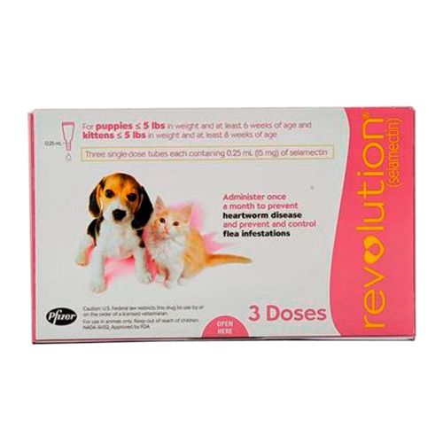 image-bd95cf63bed0432e9f0307f881dc01c5 image-bd95cf63bed0432e9f0307f881dc01c5