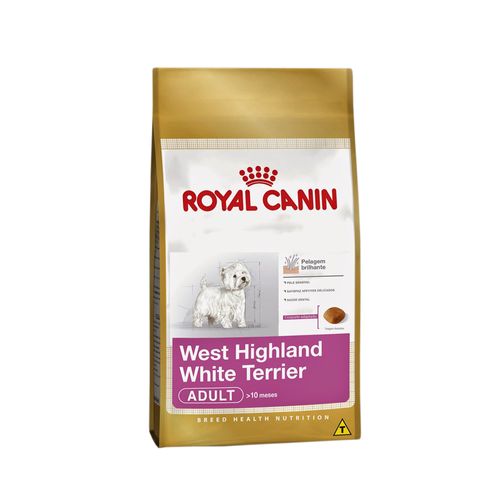 image-6385d379d44040eab1ad17fffb157d54 image-6385d379d44040eab1ad17fffb157d54