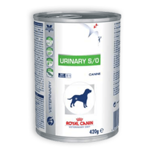 image-e21a1b47fdd446c4bcdd9fd05b142bd7 image-e21a1b47fdd446c4bcdd9fd05b142bd7