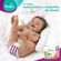 Fralda-Descartavel-Pampers-Premium-Care-Mega-Tamanho-P-56-Unidades-Pacheco-453897-8 Fralda-Descartavel-Pampers-Premium-Care-Mega-Tamanho-P-56-Unidades-Pacheco-453897-8