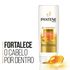 Condicionador-Pantene-Forca-e-Reconstrucao-400ml-Pacheco-660663-4