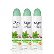kit-desodorante-Aerossol-feminino-dove-ritual-energizante-matcha-89g-3-unidades-Pacheco-93512443