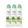 kit-desodorante-Aerossol-feminino-dove-ritual-energizante-matcha-89g-3-unidades-Pacheco-93512443