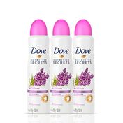 kit-desodorante-Aerossol-feminino-dove-ritual-relaxante-lavanda-150ml-3-unidades-Pacheco-93512444