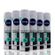 Kit-Desodorante-Aerossol-Nivea-Invisible-Feminino-Fresh-Erva-Doce-150ml-6-Unidades-Pacheco-93512481