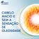 kit-head--shoulders-shampoo-nutricao-balanceada-200ml--super-condicionador-170ml-Pacheco-705594-4