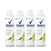 Kit-Desodorante-Rexona-Aerosol-Stay-Fresh-Bamboo-150ml-4-Unidades-Pacheco-935125440