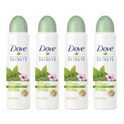 Kit-Desodorante-Dove-Aerosol-Ritual-Energizante-Matcha-150ml-4-unidadesPacheco-935125430