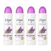 Kit-Desodorante-Dove-Aerosol-Ritual-Relaxante-Lavanda-150ml-4-Unidades-Pacheco-935125431
