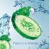 super-condicionador-head-e-shoulders-detox-da-raiz-170ml-Pacheco-703494-1