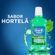 Antisseptico-Bucal-Oral-B-Bucal-Complete-Hortela-500ml-Pacheco-163813-2